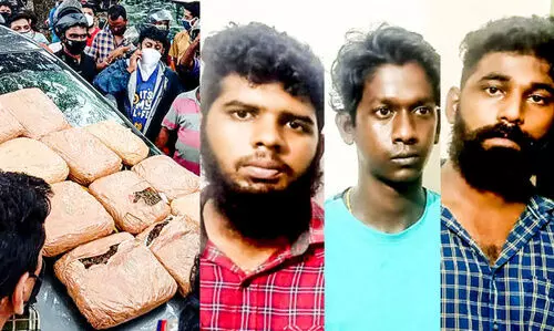 ആലപ്പുഴയിൽ വൻ കഞ്ചാവ് വേട്ട; മൂന്നുപേർ പിടിയിൽ