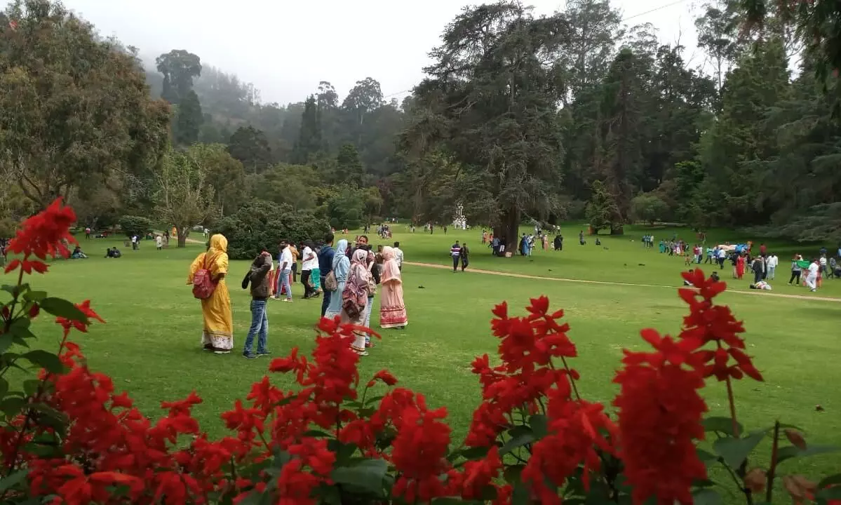 ooty botanical garden ooty botanical garden