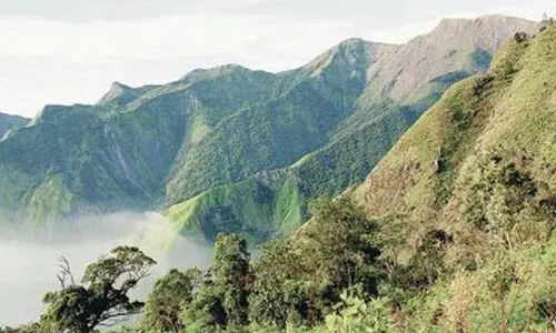 വന്യജീവി സങ്കേതം: പരിസ്ഥിതിലോല മേഖല കുറച്ച് ശിപാർശ