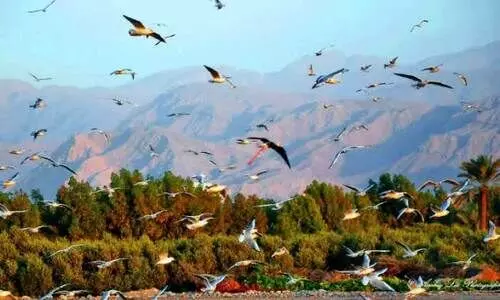 ഗള്‍ഫ് ടൂറിസം: തലസ്ഥാന പദവിയില്‍ രണ്ടാം വര്‍ഷവും റാസല്‍ഖൈമ