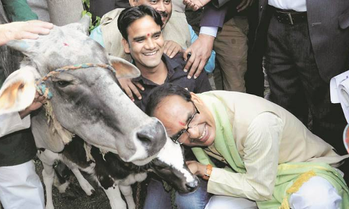 മധ്യപ്രദേശിൽ കൗ കാബിനറ്റ് പ്രഖ്യാപിച്ച്​ മുഖ്യമന്ത്രി