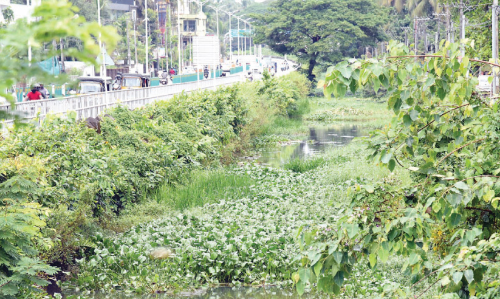 വരുമോ കനോലി കനാലിലൂടെ ബോട്ട്​ സർവിസ്​?