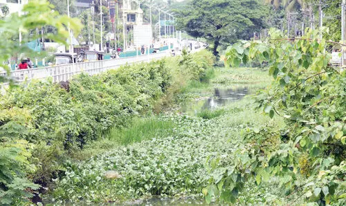 വരുമോ കനോലി കനാലിലൂടെ ബോട്ട്​ സർവിസ്​?