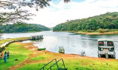 തേക്കടിയിൽ സഞ്ചാരികൾക്ക്​ തിരിച്ചടിയായി നിരക്ക് വർധന