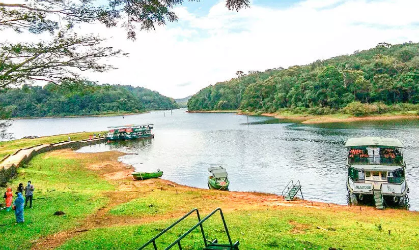 തേക്കടിയിൽ സഞ്ചാരികൾക്ക്​ തിരിച്ചടിയായി നിരക്ക് വർധന