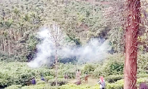 കടുവ ശല്യം: പനവല്ലിയിൽ വനപാലകരെ നാട്ടുകാർ തടഞ്ഞു