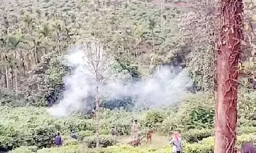 കടുവ ശല്യം: പനവല്ലിയിൽ വനപാലകരെ നാട്ടുകാർ തടഞ്ഞു