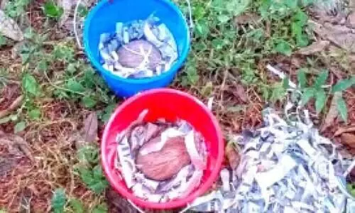 കതിരൂരിൽ രണ്ട് ബോംബുകൾ കണ്ടെടുത്തു