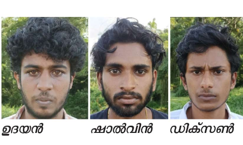 മയക്കുമരുന്നുമായി മൂന്ന് യുവാക്കൾ പിടിയിൽ