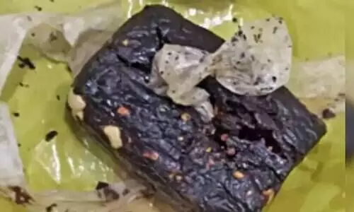 ഹൽവക്കുള്ളിൽ കഞ്ചാവ് കടത്താൻ ശ്രമം; ഒരാൾപിടിയിൽ