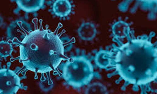 മടങ്ങിയെത്തിയ 50 പേർക്ക്​ കൂടി കോവിഡ്​