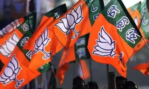 കുലശേഖരപുരത്ത് ബി.ജെ.പിയിൽ ഭിന്നതയും പോർവിളിയും