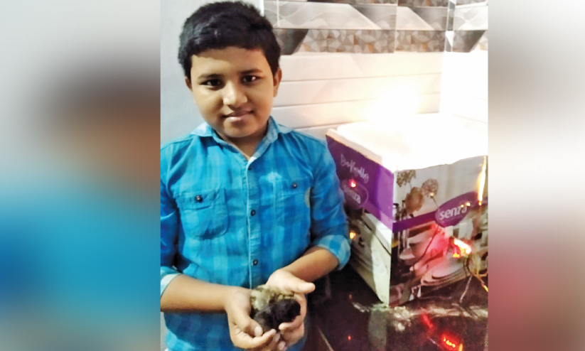 സ്വന്തമായുണ്ടാക്കിയ ഇൻക്യുബേറ്ററിൽ മുട്ട വിരിയിച്ച് എട്ടാം ക്ലാസുകാരൻ സ്വന്തമായുണ്ടാക്കിയ ഇൻക്യുബേറ്ററിൽ മുട്ട വിരിയിച്ച് എട്ടാം ക്ലാസുകാരൻ