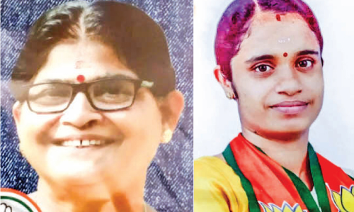 ചേർക്കരയിൽ അമ്മായി അമ്മക്ക്​ എതിരെ മരുമകൾ