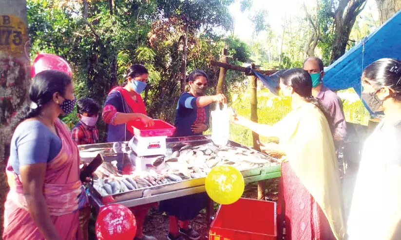 പരീക്ഷിക്കാനേറെയില്ല; മത്സ്യക്കടയിലെ പ്രതീക്ഷയുമായി യുവതികൾ പരീക്ഷിക്കാനേറെയില്ല; മത്സ്യക്കടയിലെ പ്രതീക്ഷയുമായി യുവതികൾ