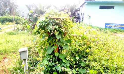 ഗെയിൽ പൈപ്പ്​ലൈൻ: ഭൂമി നൽകിയവർക്ക്​ നഷ്​ടപരിഹാരം കിട്ടിയില്ല