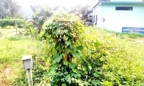 ഗെയിൽ പൈപ്പ്​ലൈൻ: ഭൂമി നൽകിയവർക്ക്​ നഷ്​ടപരിഹാരം കിട്ടിയില്ല