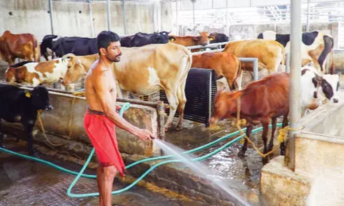 അഭിഷേകപ്രിയന്​ പാൽ നൽകൽ: അഞ്ചാം വർഷവും ആനന്ദ്​