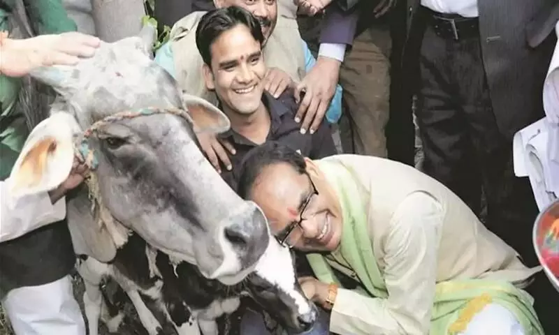 പശു കാബിനറ്റിന്​ പിന്നാലെ പശു സംരക്ഷണത്തിന്​ നികുതി ഏർപ്പെടുത്താനൊരുങ്ങി മധ്യപ്രദേശ്​ സർക്കാർ