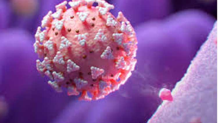 കോവിഡ് പ്രതിരോധം: മുൻനിര പോരാളികളുടെ ബോണസ് ഉടൻ കോവിഡ് പ്രതിരോധം: മുൻനിര പോരാളികളുടെ ബോണസ് ഉടൻ