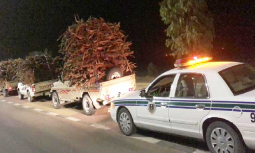 അ​ന​ധി​കൃ​ത വി​റ​ക്​ ക​ട​ത്ത്; ഏ​ഴു​പേ​ർ പി​ടി​യി​ൽ