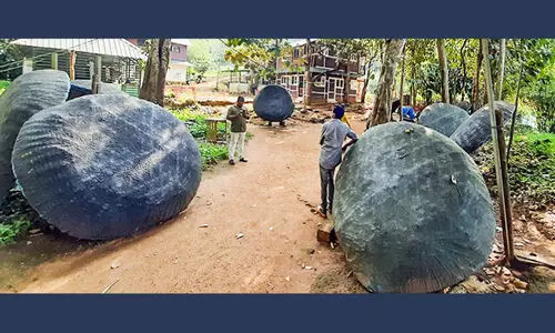 അടവിയിലെ കുട്ടവഞ്ചികൾ നശിച്ചുതുടങ്ങി അടവിയിലെ കുട്ടവഞ്ചികൾ നശിച്ചുതുടങ്ങി