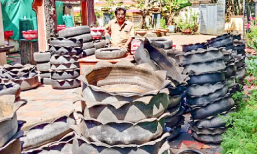 മണിമുറ്റത്ത് താമര വിരിയുന്നു; പരിസ്ഥിതി സൗഹൃദ ടയര്‍ചട്ടി കൃഷിക്ക്