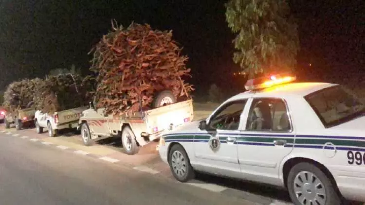 അനധികൃത വിറക് കടത്ത്; ഏഴുപേർ പിടിയിൽ അനധികൃത വിറക് കടത്ത്; ഏഴുപേർ പിടിയിൽ