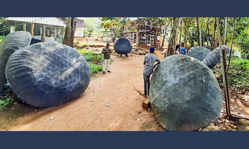 അടവിയിലെ കുട്ടവഞ്ചികൾ നശിച്ചുതുടങ്ങി അടവിയിലെ കുട്ടവഞ്ചികൾ നശിച്ചുതുടങ്ങി