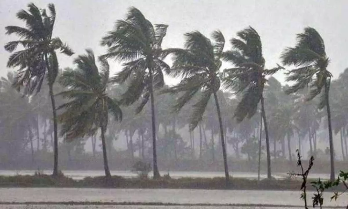 ചുഴലിക്കാറ്റ്; ചെയ്യേണ്ടതും ചെയ്യരുതാത്തതും | burevi cyclone dos and donts  | Madhyamam