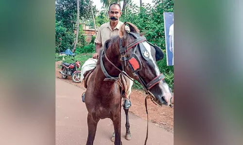 ലീഗ്​ കോട്ട തകർക്കാൻ കുതിരപ്പുറമേറി കുഞ്ഞാണിയുടെ റോഡ് ഷോ