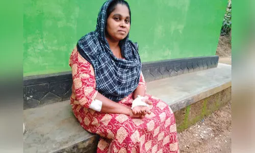 മുന്നിൽ കടുവ; ആദ്യം കിടുങ്ങി, പിന്നെ ഓടി