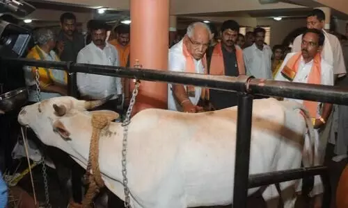 പശുരാഷ്​ട്രീയം ദക്ഷിണേന്ത്യയിലേക്കും, ഗോവധ നിരോധനത്തിനൊരുങ്ങി കർണാടക, കേരള​ത്തേയും ബാധിക്കും