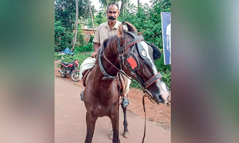 ലീഗ് കോട്ട തകർക്കാൻ കുതിരപ്പുറമേറി കുഞ്ഞാണിയുടെ റോഡ് ഷോ ലീഗ് കോട്ട തകർക്കാൻ കുതിരപ്പുറമേറി കുഞ്ഞാണിയുടെ റോഡ് ഷോ