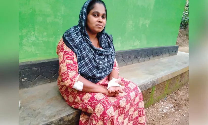 മുന്നിൽ കടുവ; ആദ്യം കിടുങ്ങി, പിന്നെ ഓടി