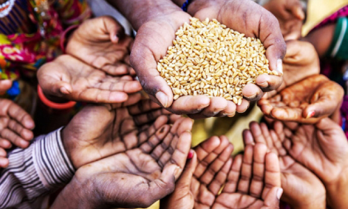 പ​ട്ടി​ണി സൂ​ചി​ക​യി​ൽ ഇ​ന്ത്യ പി​റ​കി​ലാ​യ​തെ​ങ്ങ​നെ?