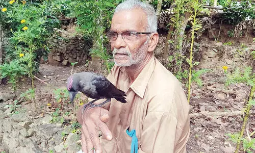 ഈ കാക്ക നാടി​െൻറ പൊൻകുഞ്ഞ്