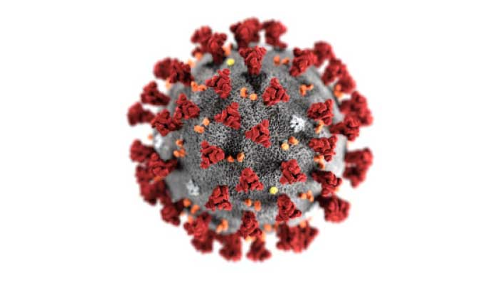 പേ​ര​യ​ത്ത് 84 കാ​രി​യായ കോ​വി​ഡ് രോ​ഗി​യെ തി​രി​ഞ്ഞു​നോ​ക്കു​ന്നി​ല്ലെ​ന്ന് പ​രാ​തി