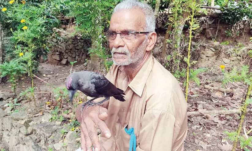 ഈ കാക്ക നാടി​െൻറ പൊൻകുഞ്ഞ്