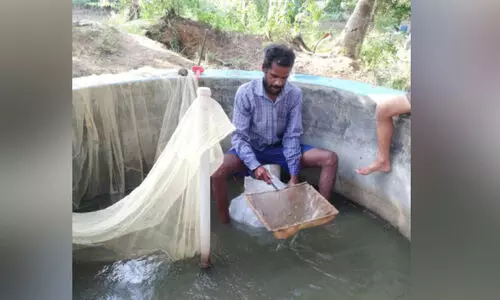 പ്രാ​ദേ​ശി​ക മ​ത്സ്യം വ​ള​ർ​ത്ത​ലി​ന്​ പ്രി​യ​മേ​റു​ന്നു