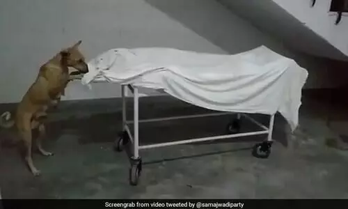 യു.പി ആശുപത്രിയിൽ സൂക്ഷിച്ച പെൺകുട്ടിയുടെ മൃതദേഹം കടിച്ചുവലിച്ച്​ തെരുവുനായ്​ ; ഞെട്ടിക്കുന്ന വിഡിയോ