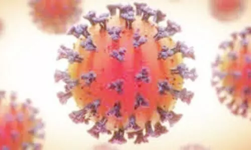 കോവിഡിൽ പിടിമുറുക്കി പാലാ നഗരസഭ