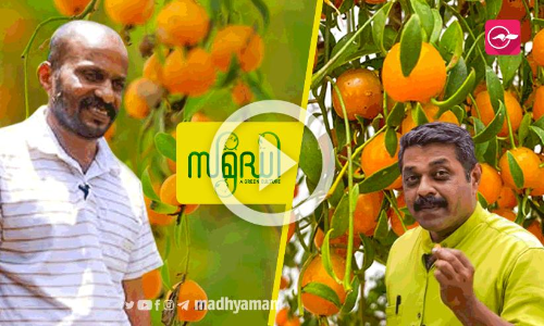 വായിൽ കൊള്ളാത്ത പേരാ, പക്ഷേ വായിൽ വെള്ളമൂറും