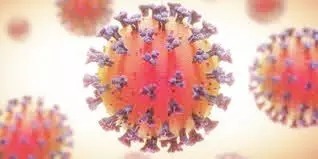 169 പേർക്ക്​ കൂടി കോവിഡ്