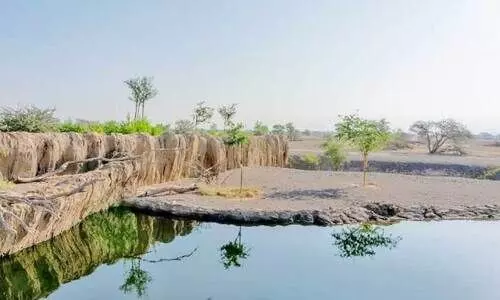 ആ​ഫ്രി​ക്ക​ൻ കൊ​ടും​കാ​ടി​െൻറ മ​നോ​ഹാ​രി​ത ഇനി ഷാർജയിലും ആസ്വദിക്കാം