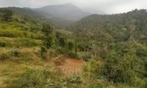 അട്ടപ്പാടി കരാർ: റിപ്പോർട്ടുകൾ ശുദ്ധ നുണയെന്ന് രേഖകൾ