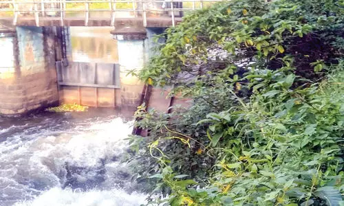 കരുവന്നൂര് ഇല്ലിക്കല് ഡാമിെൻറ ഷട്ടര് തള്ളിപ്പോയി കരുവന്നൂര് ഇല്ലിക്കല് ഡാമിെൻറ ഷട്ടര് തള്ളിപ്പോയി