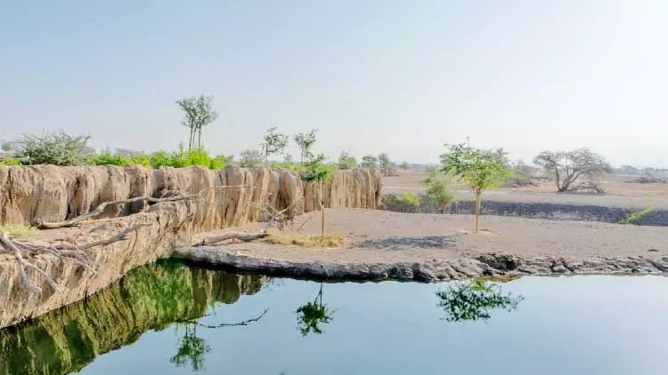 ആഫ്രിക്കൻ കൊടുംകാടിെൻറ മനോഹാരിത ഇനി ഷാർജയിലും ആസ്വദിക്കാം ആഫ്രിക്കൻ കൊടുംകാടിെൻറ മനോഹാരിത ഇനി ഷാർജയിലും ആസ്വദിക്കാം