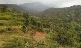 അട്ടപ്പാടി കരാർ: റിപ്പോർട്ടുകൾ ശുദ്ധ നുണയെന്ന് രേഖകൾ