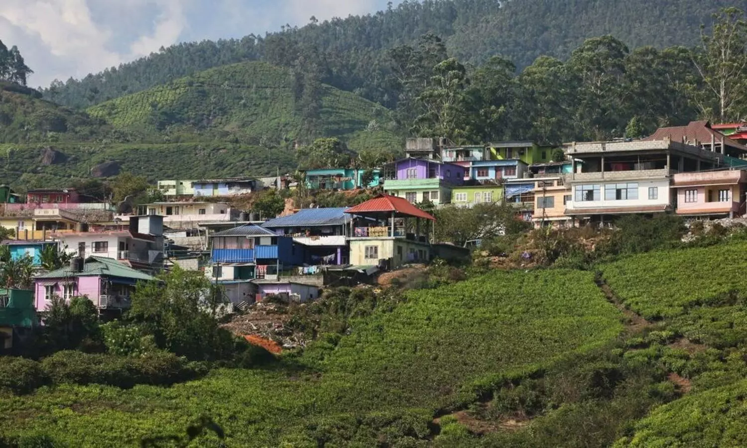 തെളിയുന്നു, ഇടുക്കിയുടെ ചിത്രം